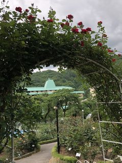 20180531_Hanamakionsen Rose Garden11.jpg
