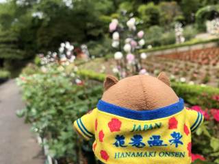 20180531_Hanamakionsen Rose Garden2.jpg