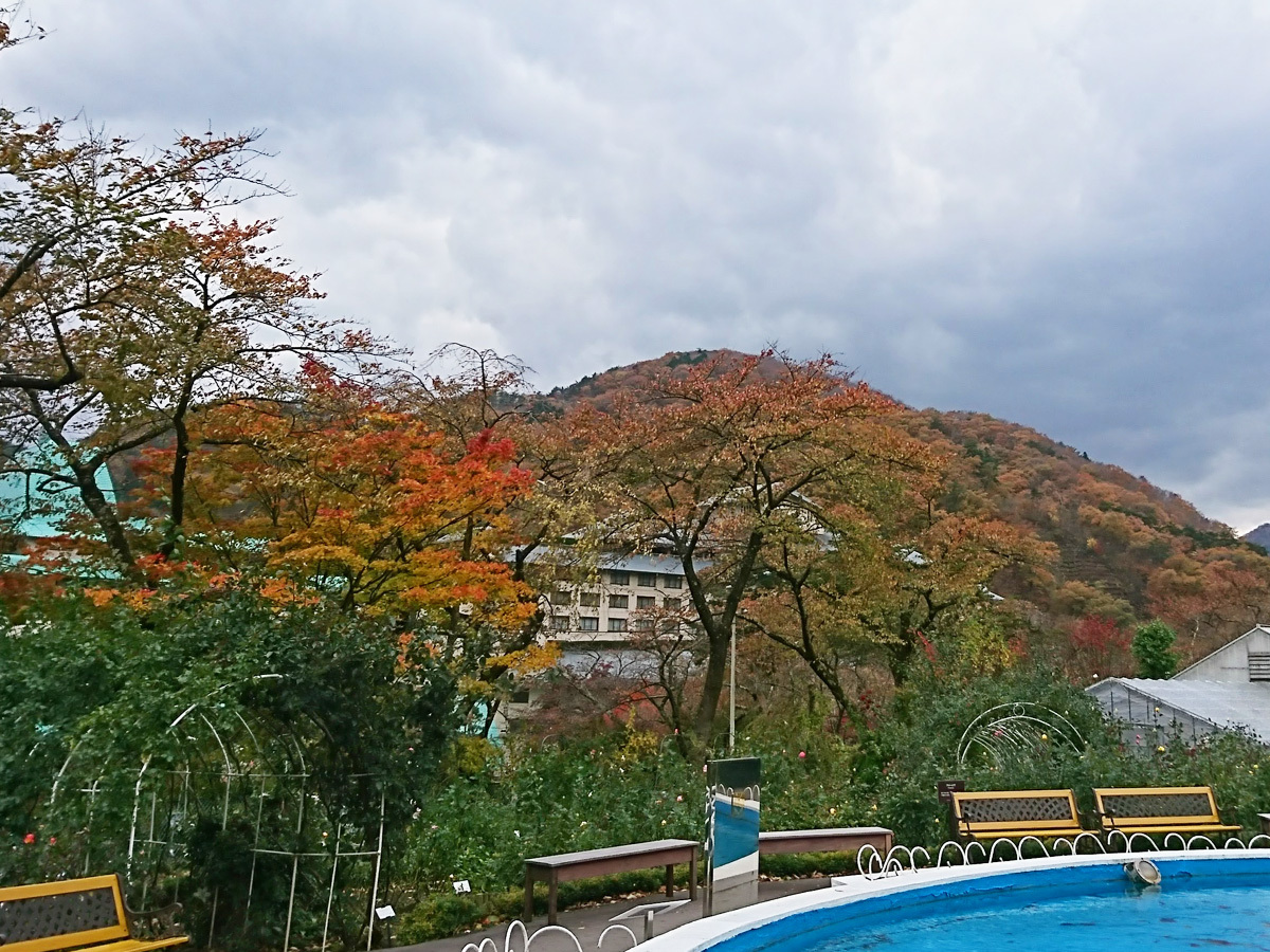 20171031_紅葉A.jpg