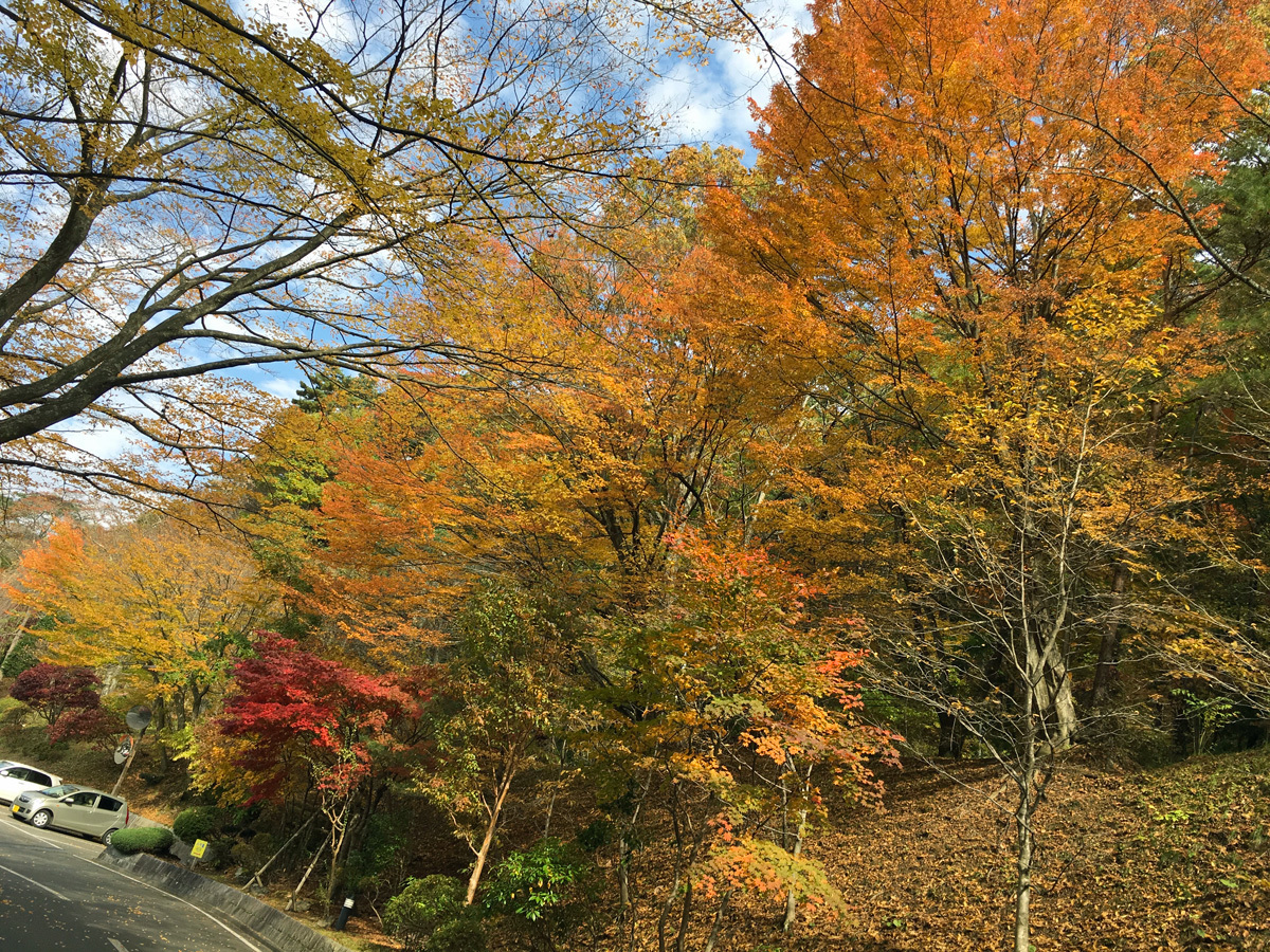 20171028_紅葉C.jpg