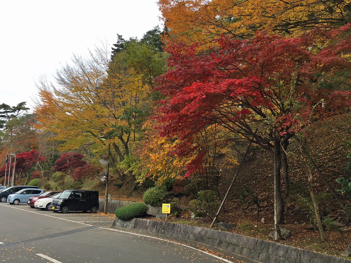 20171028_紅葉D.jpg