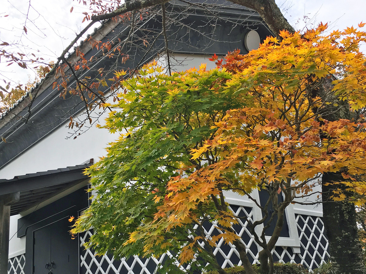 20171028_紅葉@.jpg