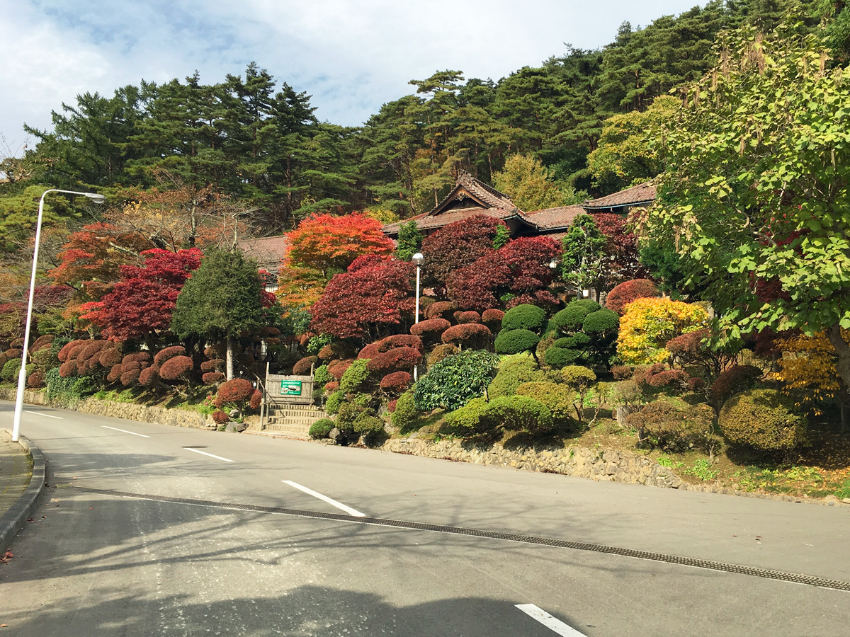 20171031_紅葉D.jpg