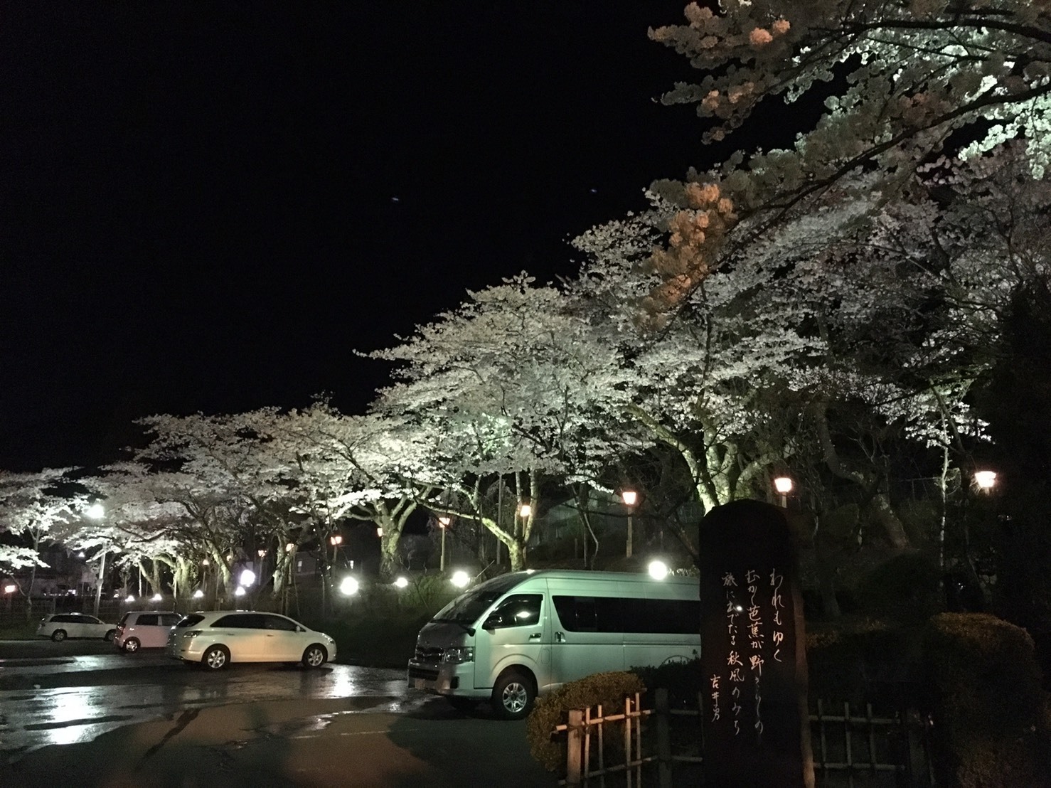 20160423_桜ライトアップ.jpg