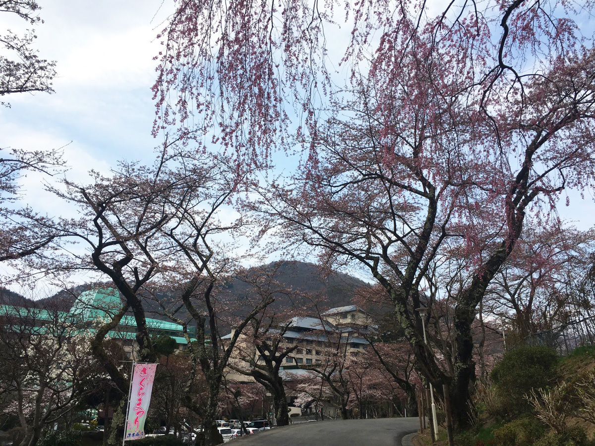 20170425_バラ園前.jpg