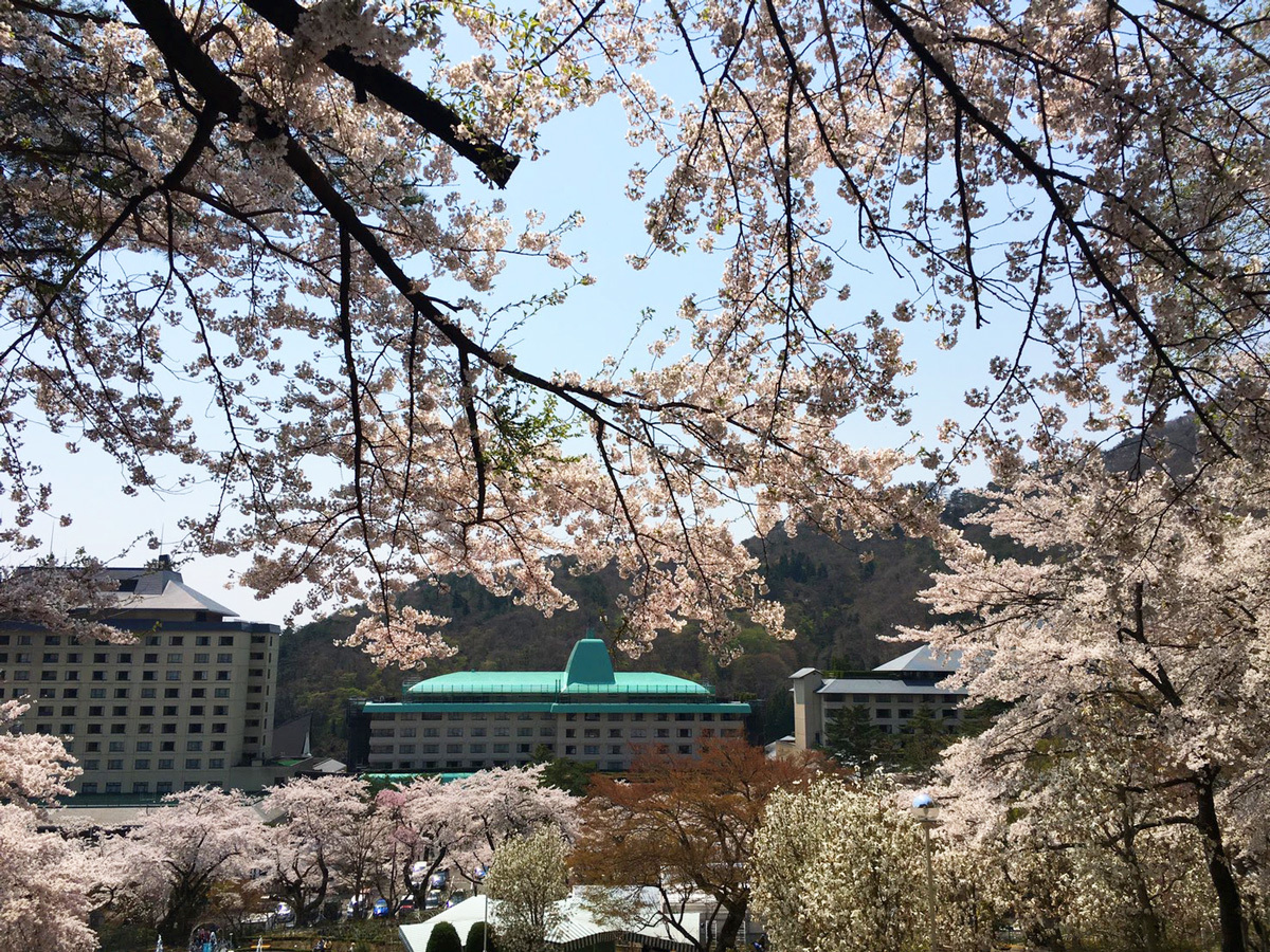 20170430_桜B.jpg