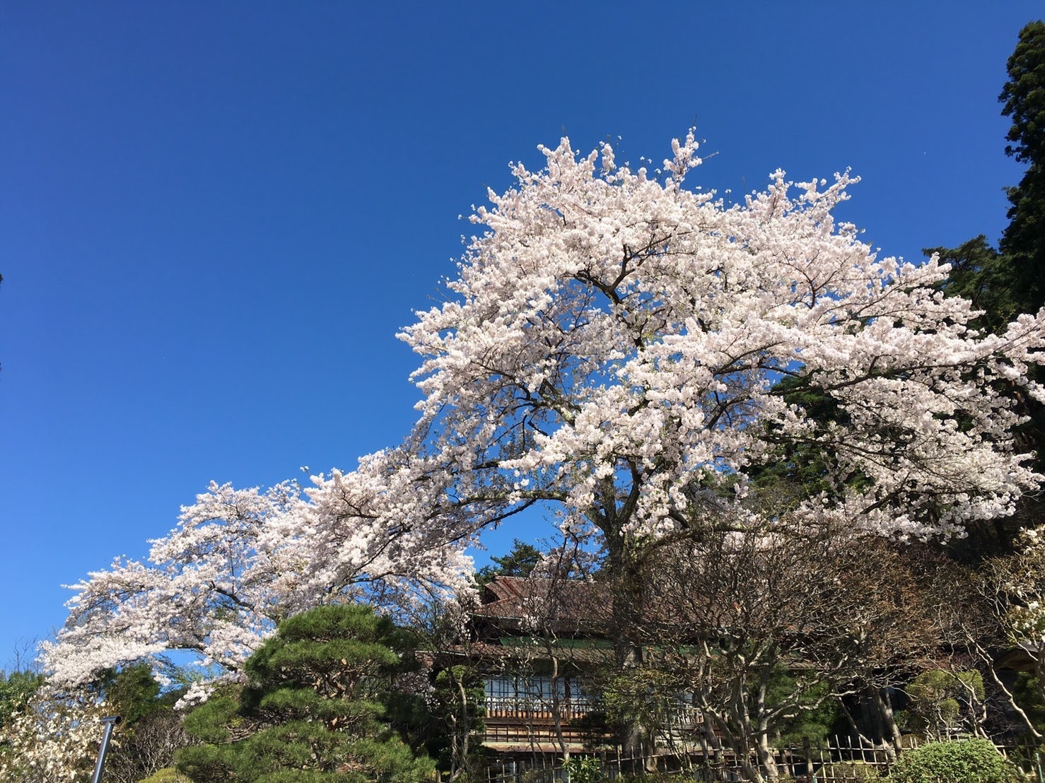 20170502_旧松雲閣.jpg