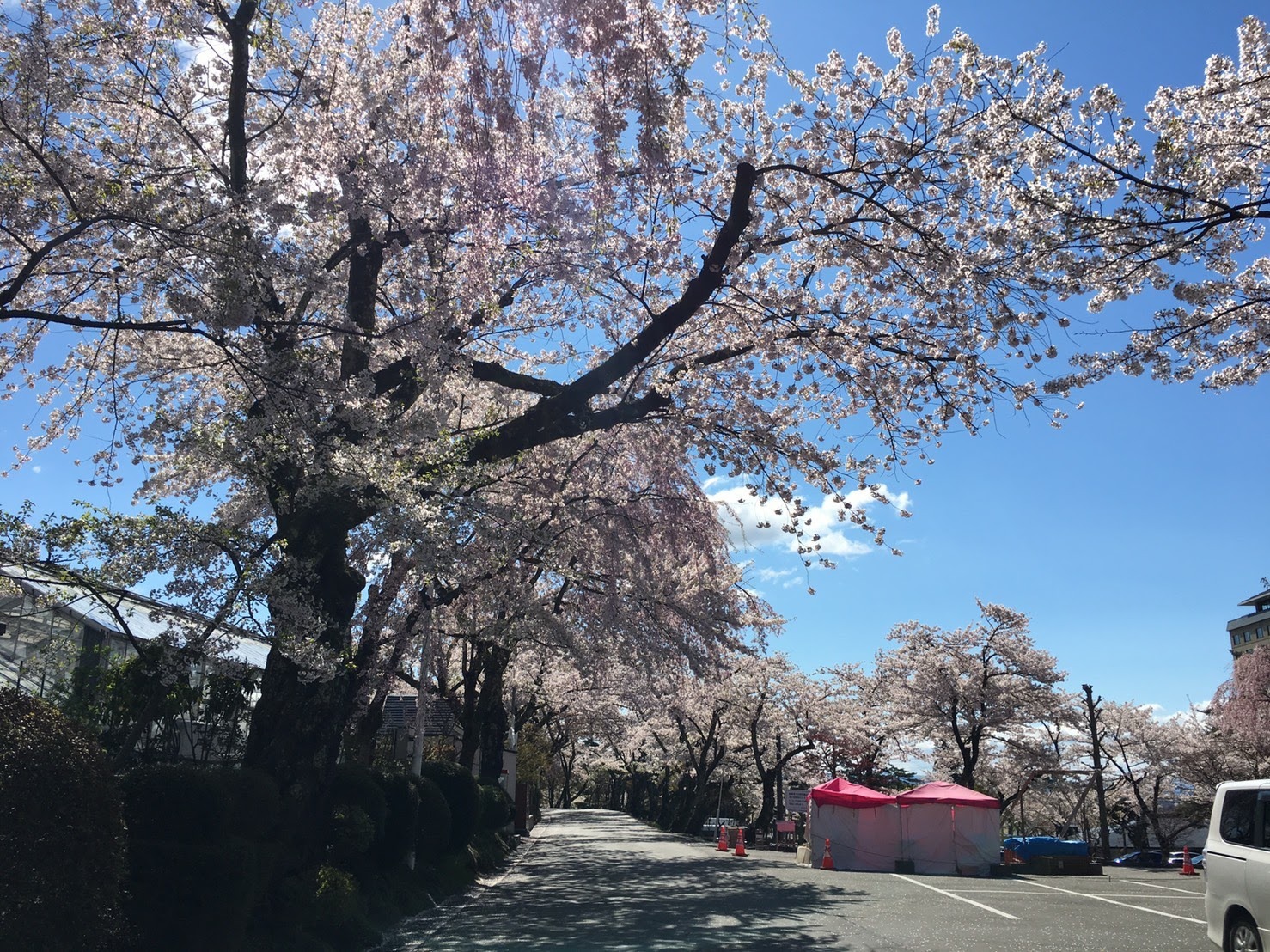 20170502_バラ園前.jpg