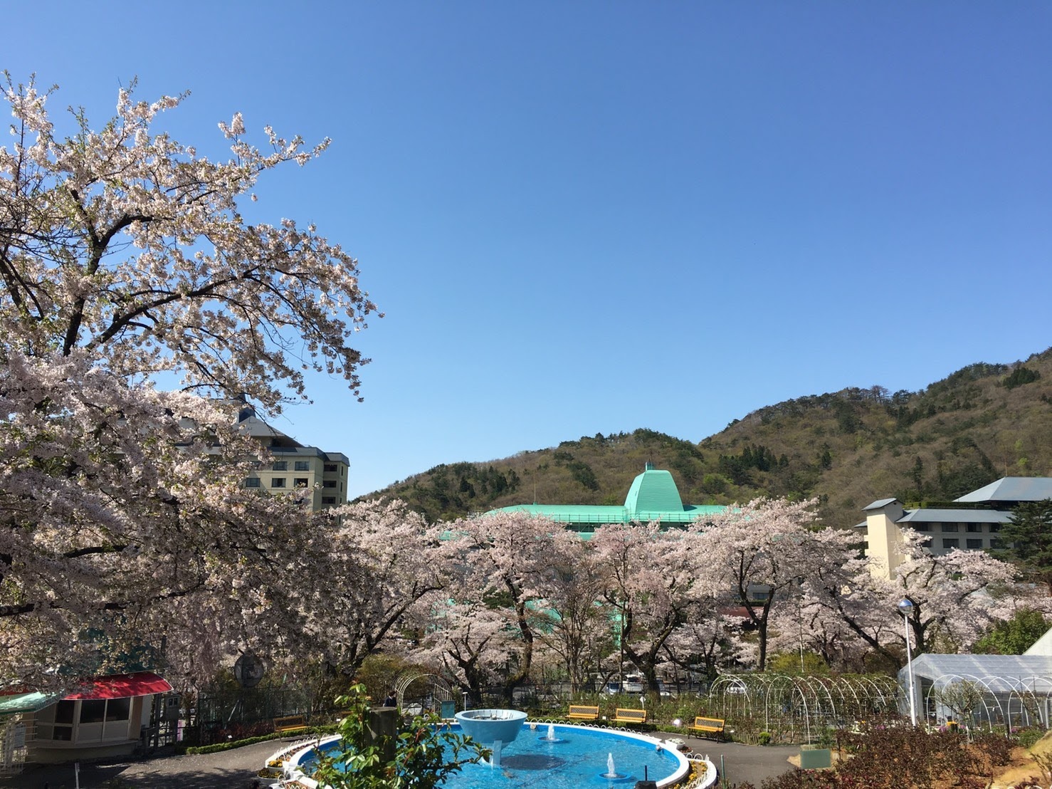 20170503_桜A.jpg