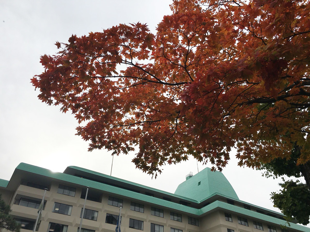 20171025_紅葉A.jpg