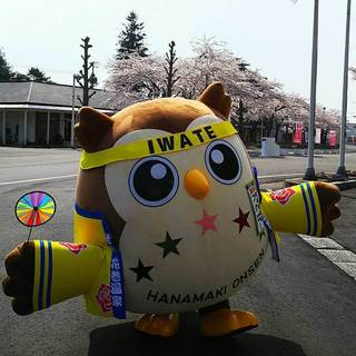 20170429_HanamakiOnsen Sakura3.jpg