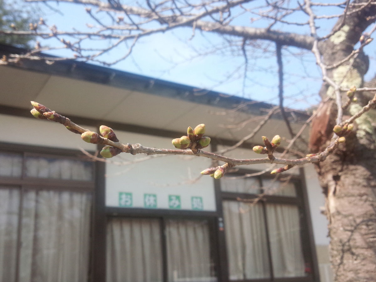 20150327.jpg