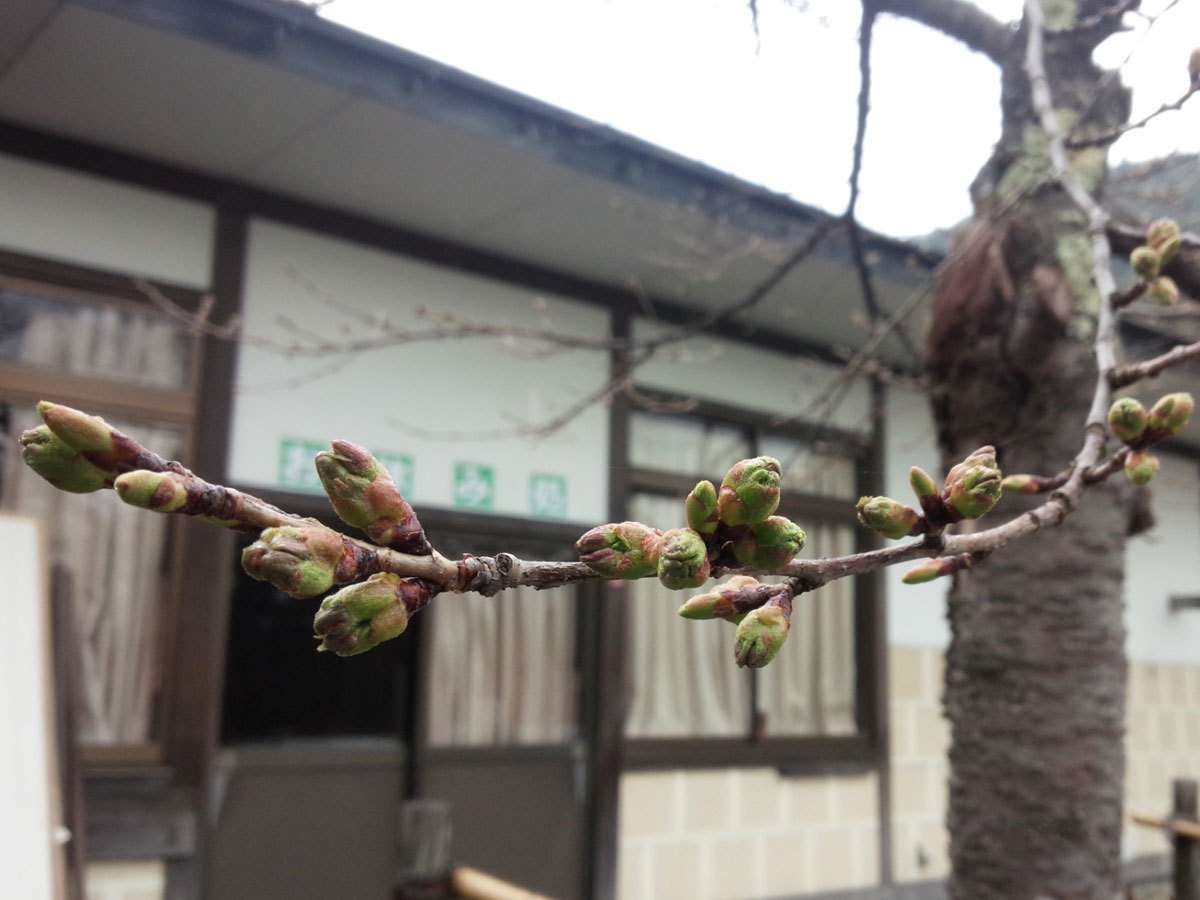201504030.jpg