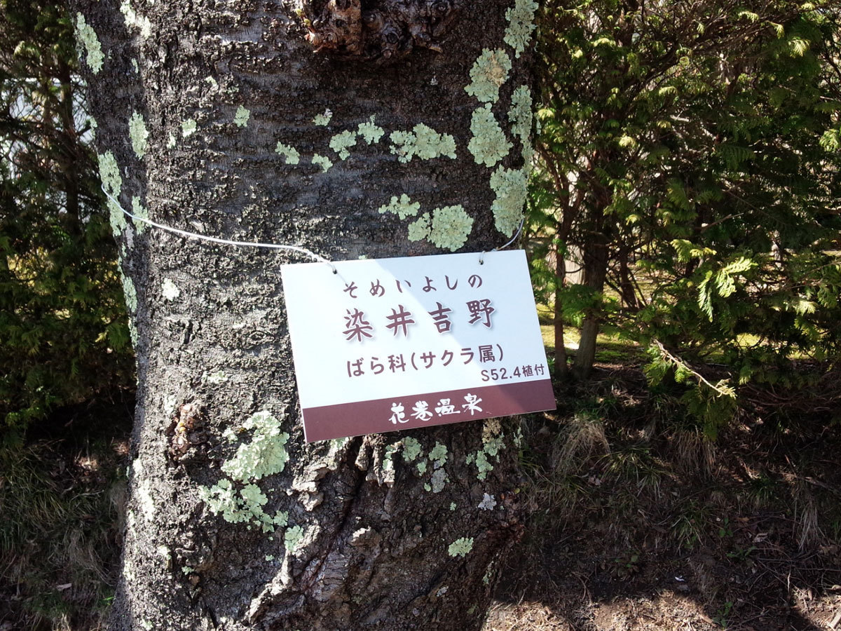 20150404-2.jpg