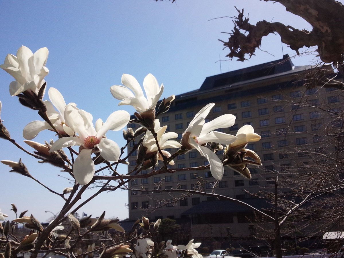 20150404.jpg