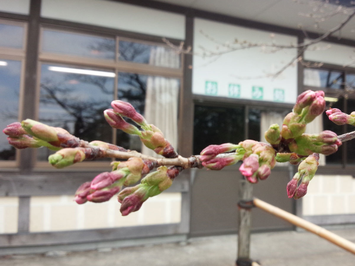 20150407.jpg