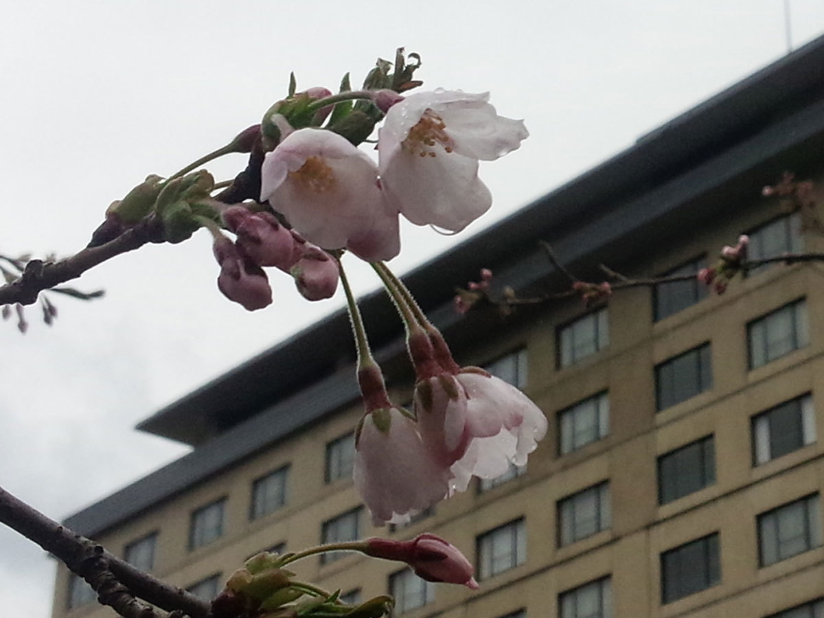 20150415.jpg