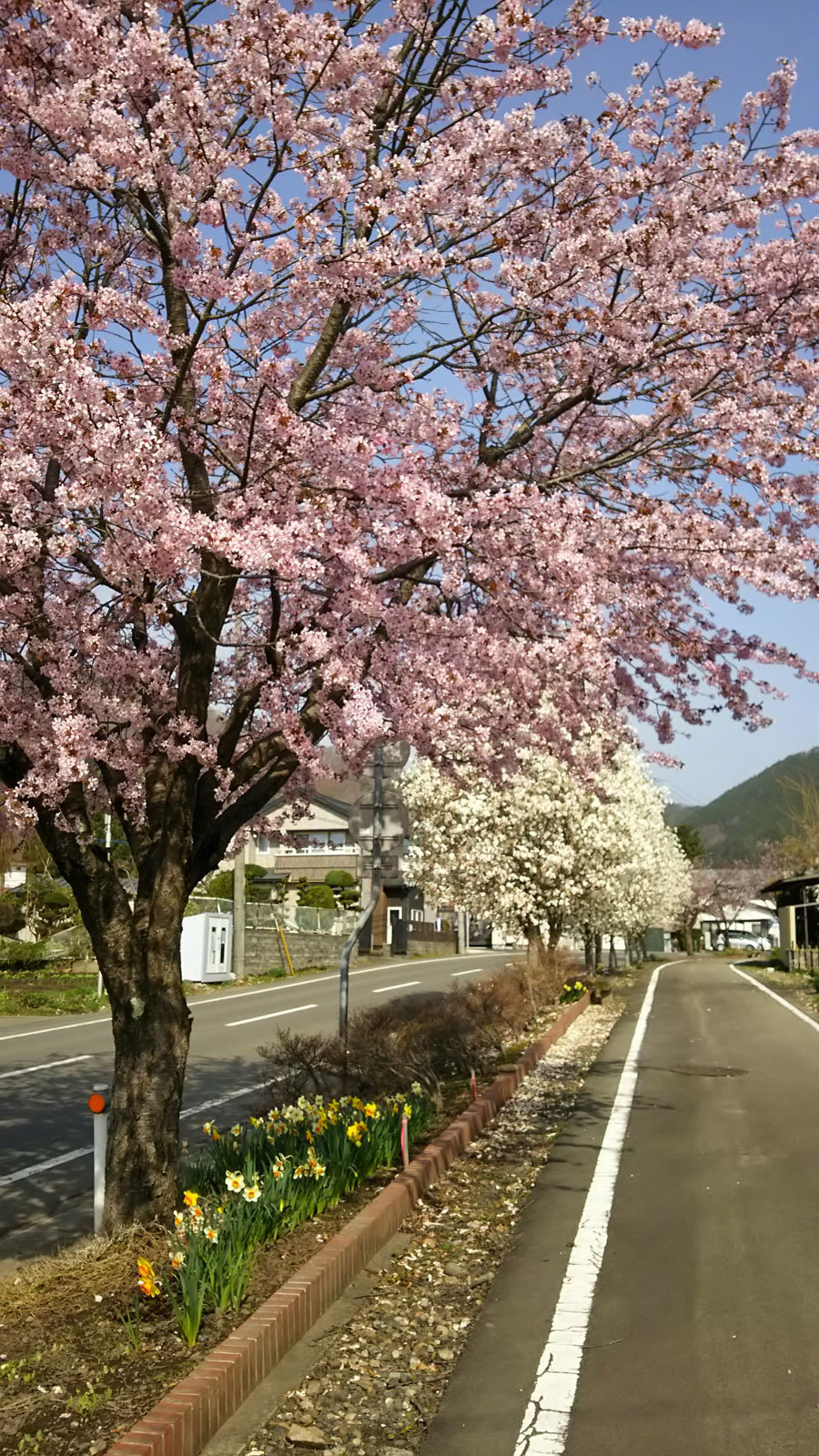 20150418-sr.jpg