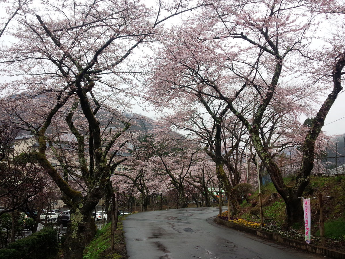 20150420-2.jpg