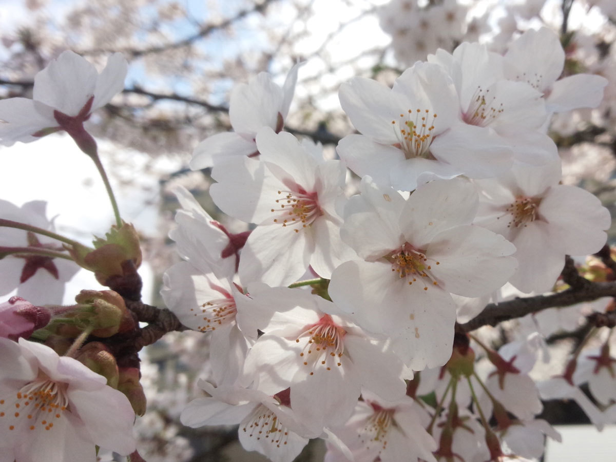 20150421-1.jpg