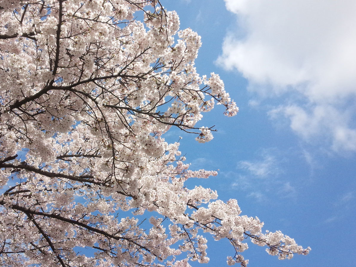 20150421-3.jpg