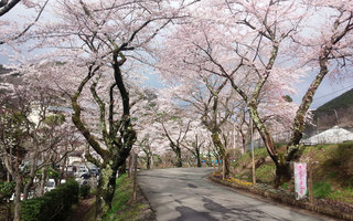 20150421.jpg