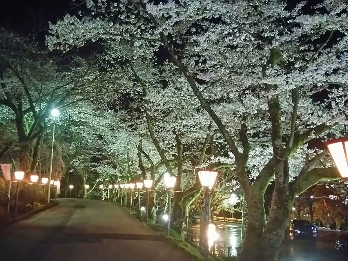 20150421-夜