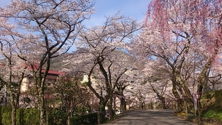 20150423
