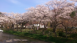 20150423
