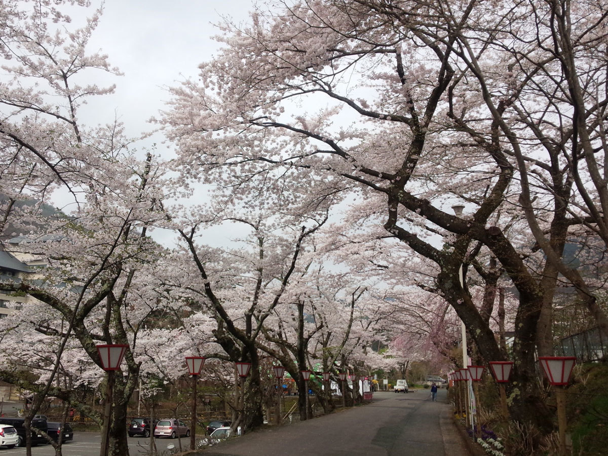 20150424-1.jpg