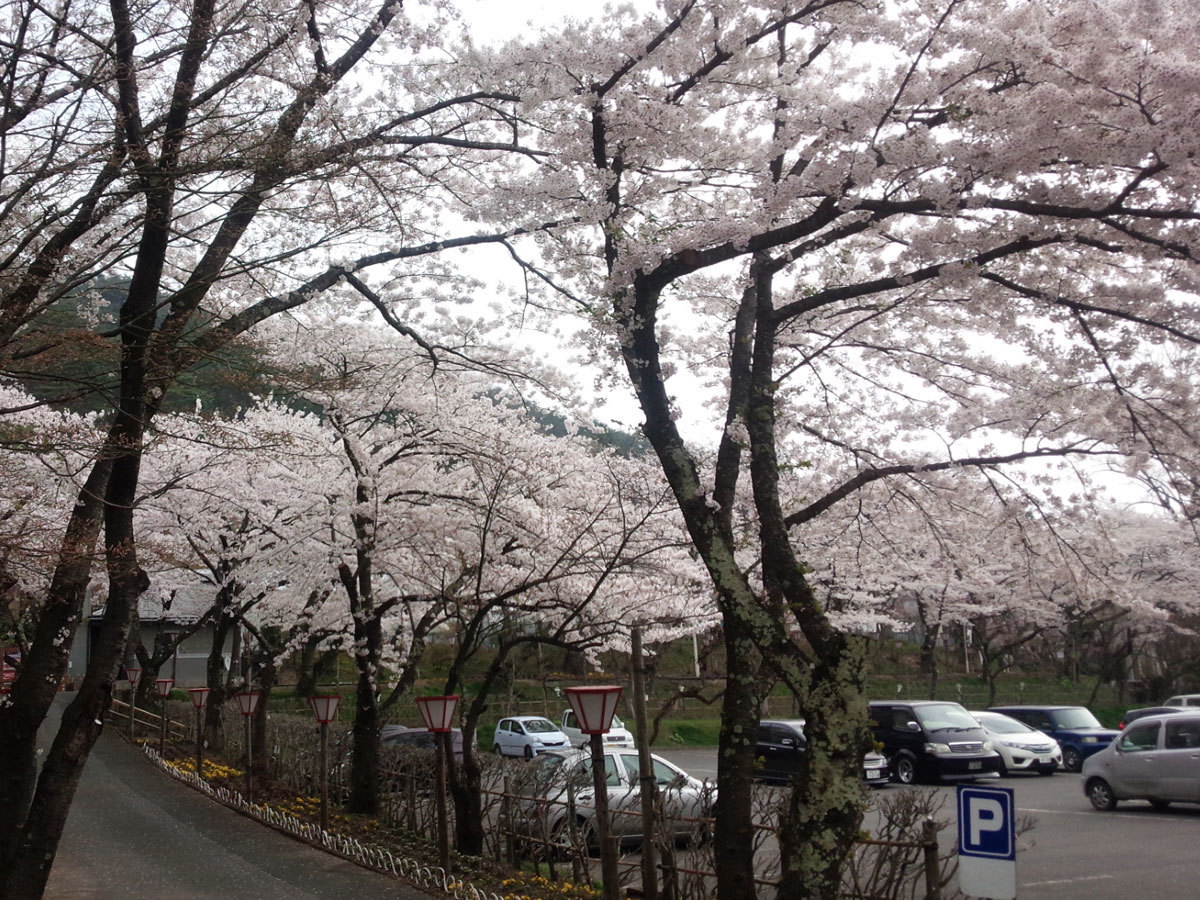 20150424-2.jpg