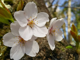 20150425_2.jpg