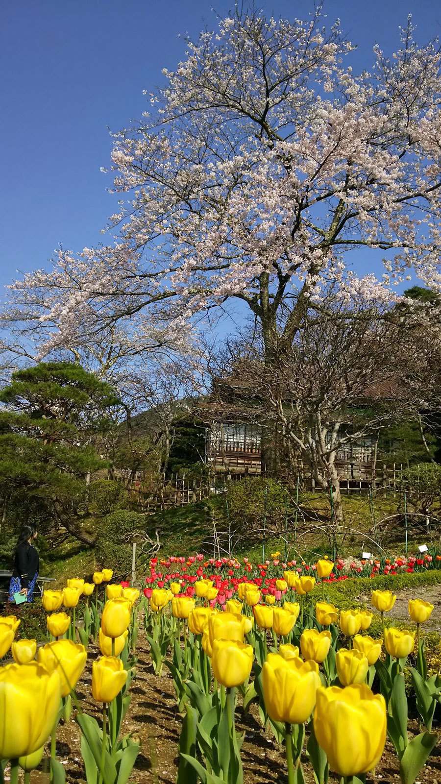 20150425_4.jpg