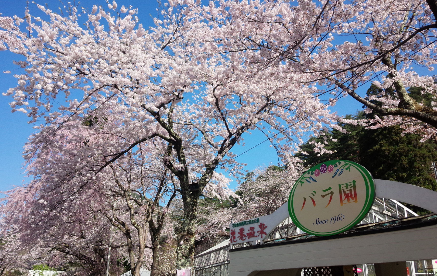 20150426-1.jpg