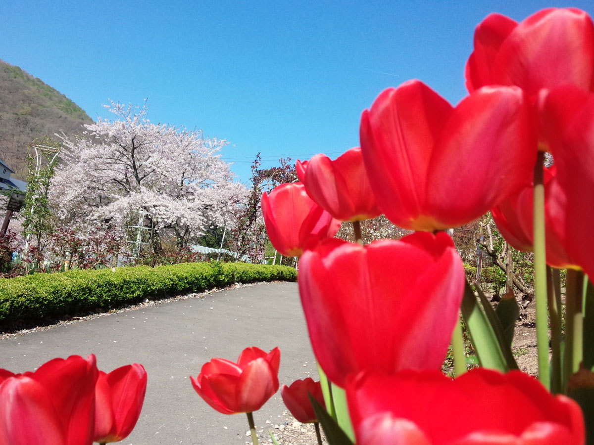 20150426-3.jpg