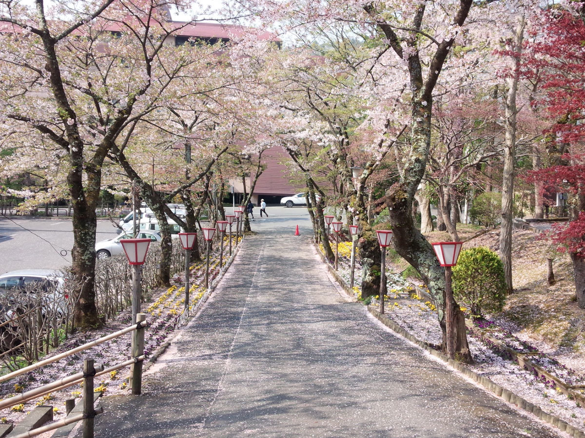 20150428-1.jpg