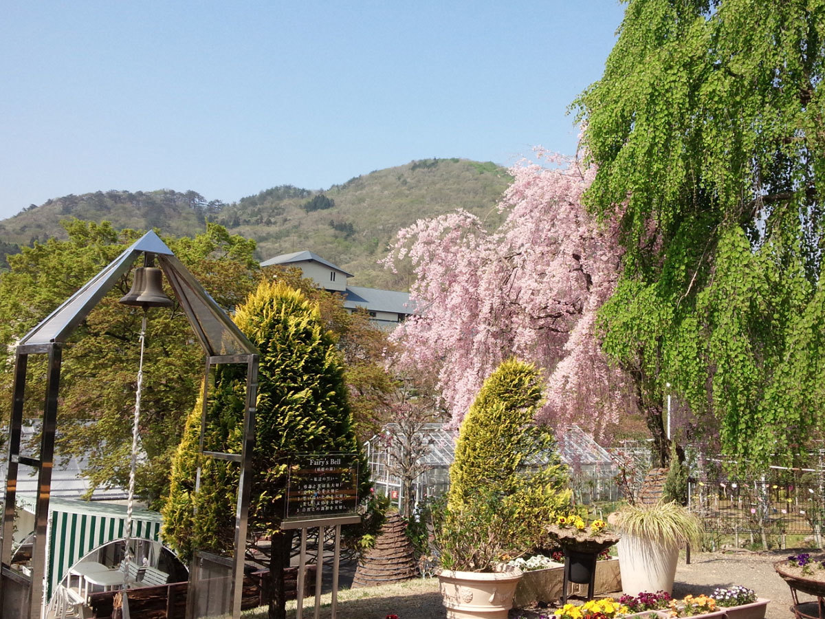 20150429-2.jpg