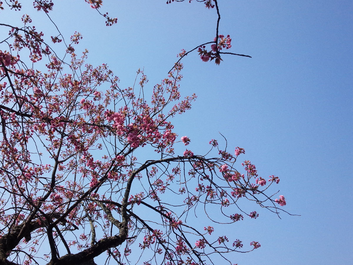 20150429-3.jpg