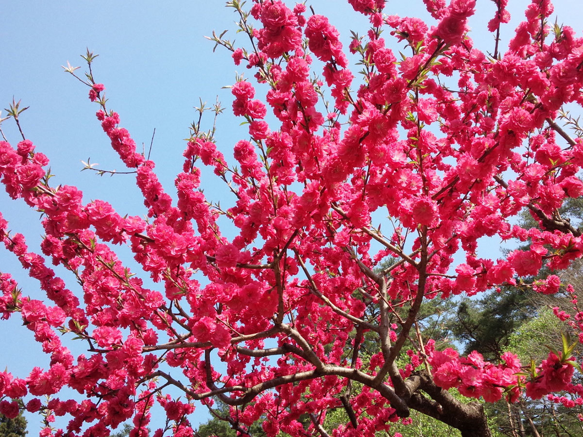 20150429-4.jpg