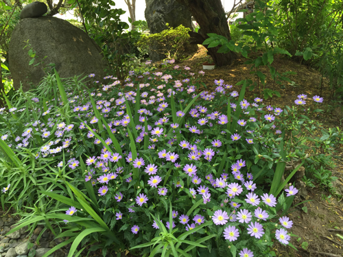 20170530_スタッフブログ@.jpg