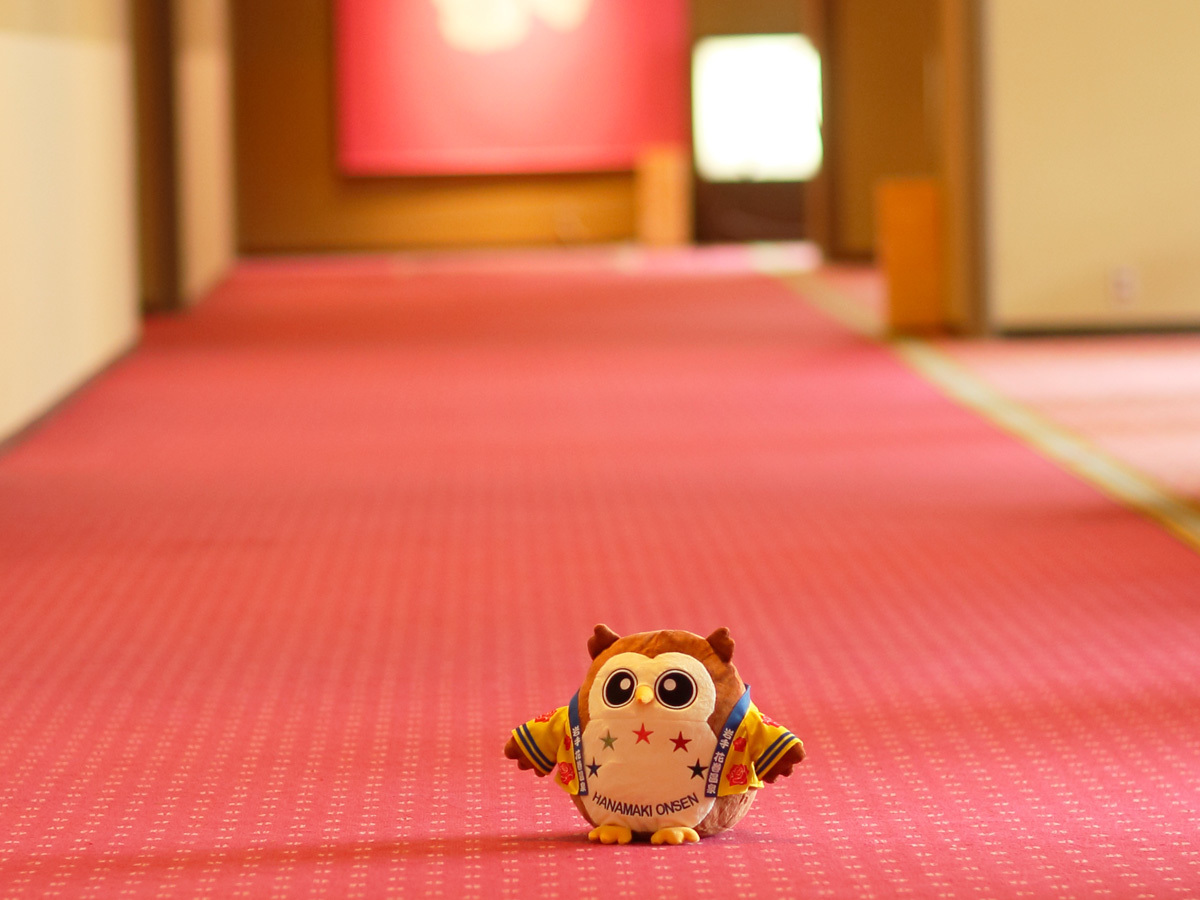 バラの小径を探検.jpg
