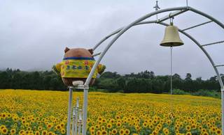 4_煙山公園のひまわり畑.jpg