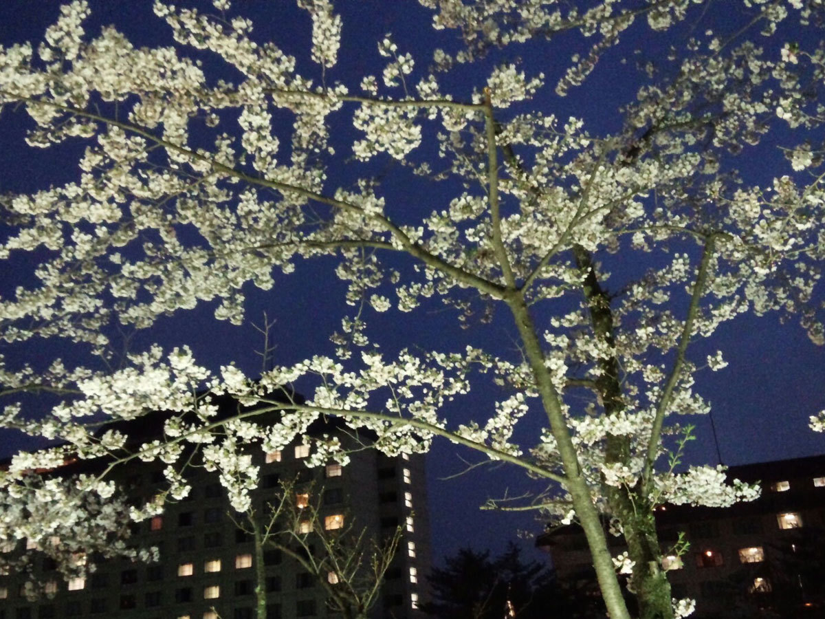 20150421-夜