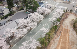 20150422_gate.jpg