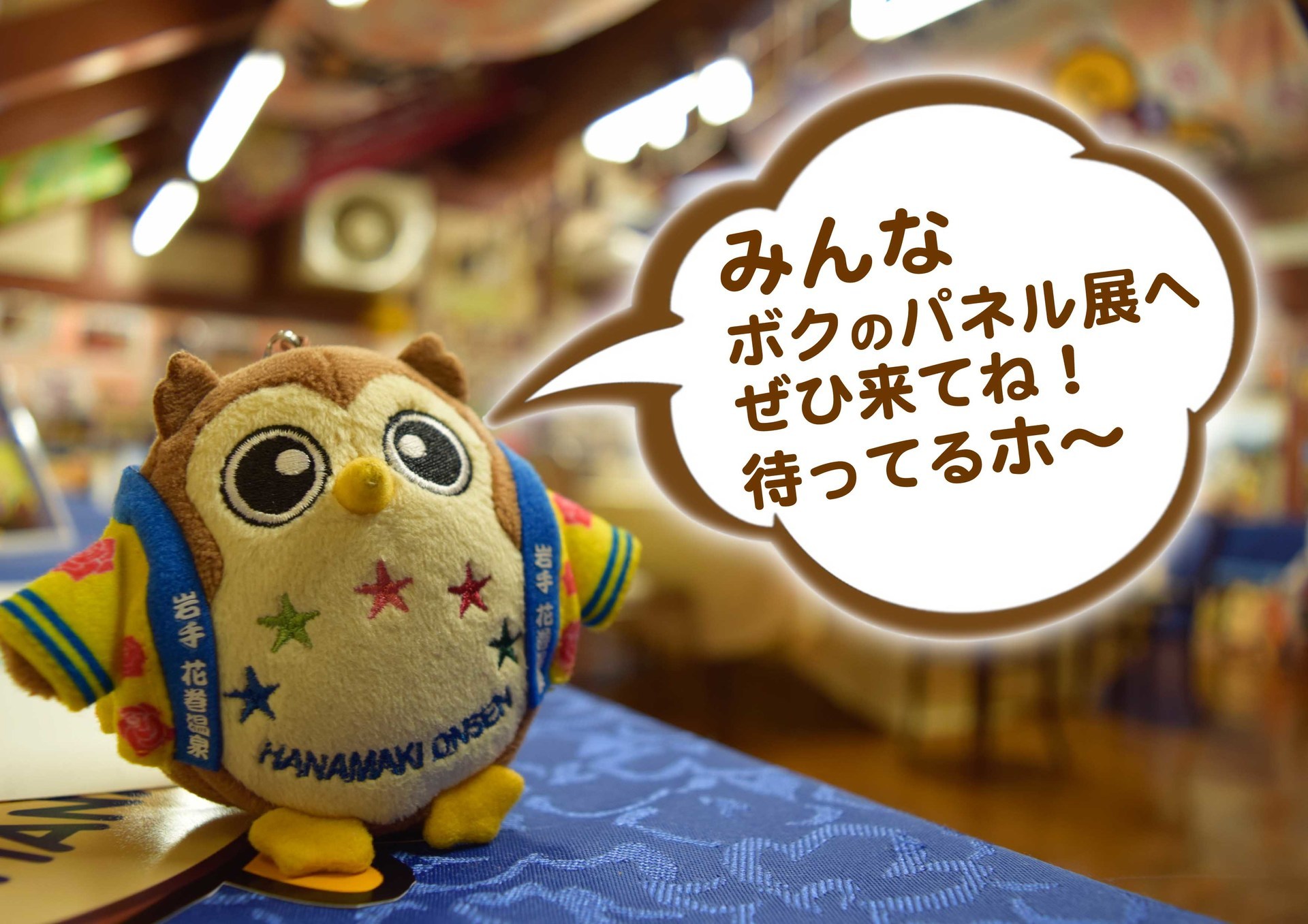 20170516_フクローパネル展D.jpg