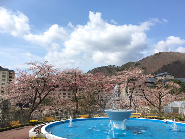 20160420_桜1.jpg