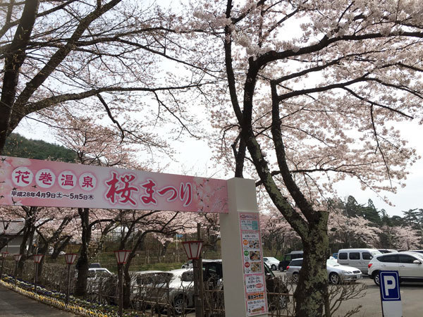 20160421_桜3.jpg