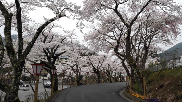 20160423_バラ園前.jpg