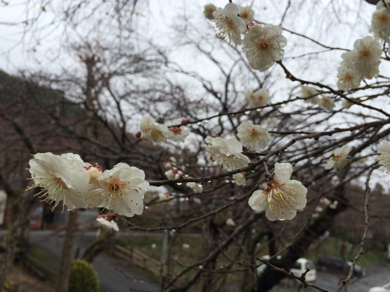 20150414