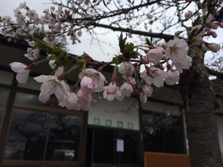 20150416